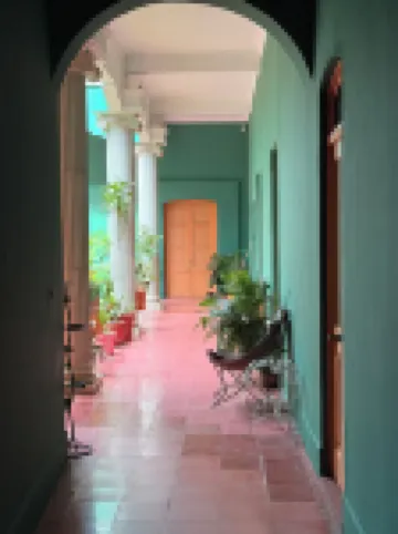 จินเจอร์ บานานา โฮสเทล