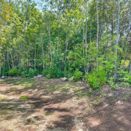 Wooded Hancock Home Near Ski and Snowmobile Trails!
