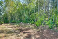 Wooded Hancock Home Near Ski and Snowmobile Trails! - Wifi