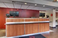 Red Roof Inn St Louis - Westport/ Maryland Heights - Parkplatz