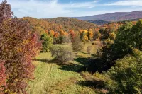 Private Tiny Cabin/Mountain Hiking/National Forest! Hotels in Valley Bend