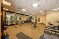 Hilton Garden Inn Columbia/Harbison - Gym