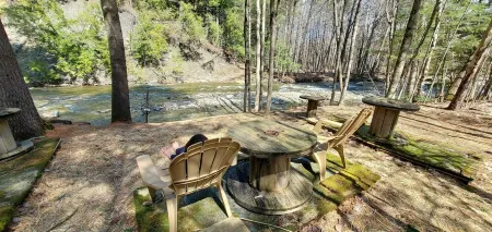 Entire Rustic Farmhouse minutes from Jay Peak