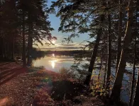 This Lil Apartment - Stay Close to Airport, Beach, and Gros Morne Adventures Hotels in Deer Lake