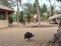 Red Villa on Lionsrest - a tropical garden 500m from the Atlantic beach Отели в г. 