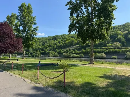 Fewo Neckarperle. Just a few steps to the banks of the Neckar!