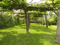 Rías Baixas. Admitimos Mascotas. Wiffi Gratis 300mb. Ideal Familias, Gente Mayor