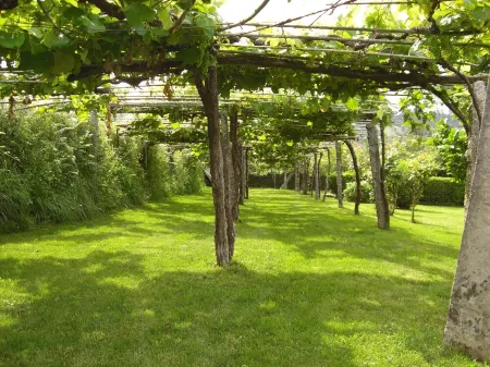 Rías Baixas. Admitimos Mascotas. Wiffi Gratis 300mb. Ideal Familias, Gente Mayor