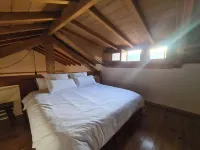 Quinta dos Milagres - Full accommodation: Casa dos Bigodes Hotels in Penacova