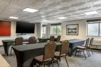 Comfort Inn University - pet friendly