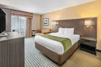Comfort Inn Hotels in Чатем