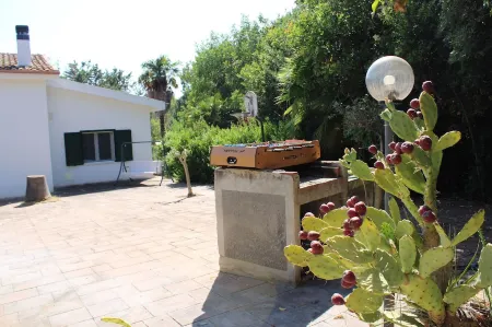 House surrounded by greenery just a few minutes drive from the most beautiful beaches of Alghero Отели рядом с достопримечательностью «Католическа катедрала на Сасари»