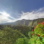 Private room in residential home hosted by MamaEmma