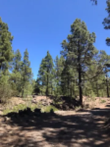 Eco -Finca Vista mar y Teide Hotels in Icod de los Vinos