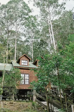 Treetops - Your Rainforest RetreatSurround yourself with nature. Отели в г. Дангог