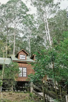 Treetops - Your Rainforest RetreatSurround yourself with nature. 鄧戈格住宿飯店