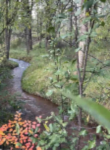 Cozy Cabin with Creek in Cascade-Chipita Park
