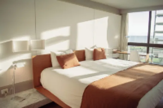 オプタ コリビング モンテビデオのホテル