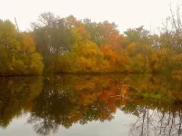 Tranquil Garden Hideaway Hoteles en Galapagar