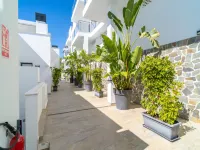 Penthouse in Nerja with Infinity Pool Views