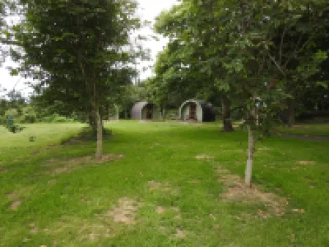 Chestnut Meadow Camping