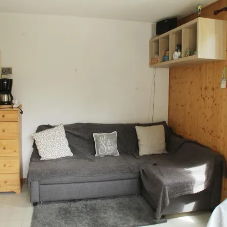 Holiday home in Chatel near ski area