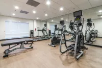 Holiday Inn Express VILLA RICA by IHG - Gym