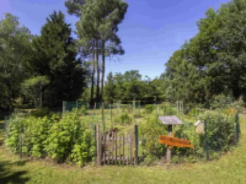 Novotel Bordeaux Merignac Hotels in Merignac