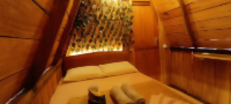 Amazon Private Tours Jungle Lodge Hotels in 