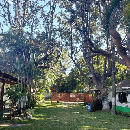 El Aguacatal