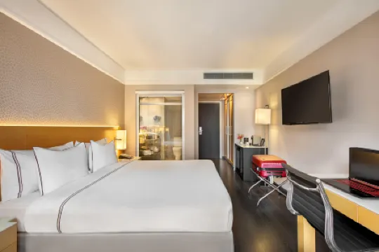 坎皮納斯美利亞酒店