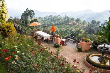 รูปภาพของภูหมอกดาว รีสอร์ท