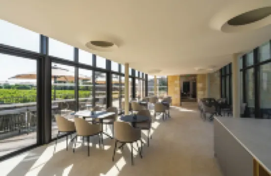 La Villa des Vignes