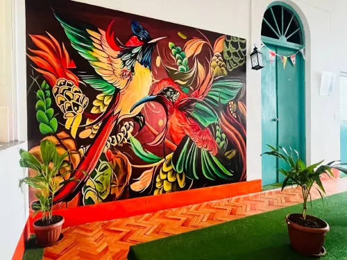 A&T Amazon Backpacker - Rooftop - 2-Star