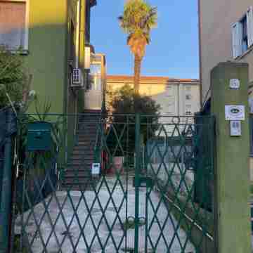 Venetian Nexus Others