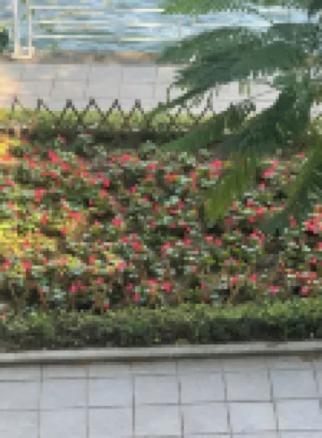 西湖陽光景觀陽台民宿