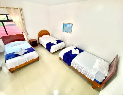 Hostal Insular - Homestays