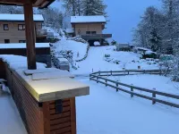 Little Chalet Piguet Hotels in Gryon