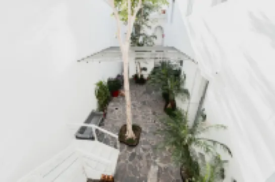 Artea Hotel Boutique Hotels in 