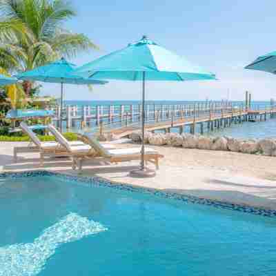 Midnight Runner in Islamorada Fitness & Recreational Facilities