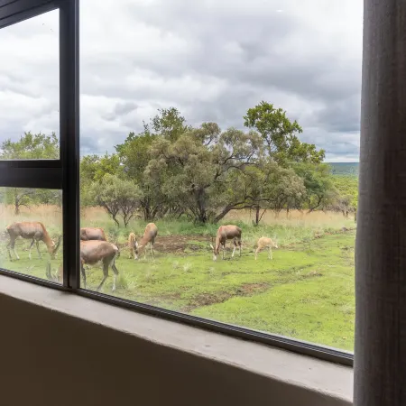 Klipdrift Sands Game Lodge