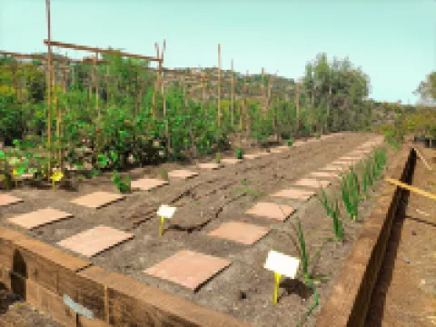 Talaia Plaza Ecoresort