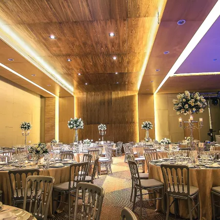 MS Milenium Monterrey, Curio Collection by Hilton