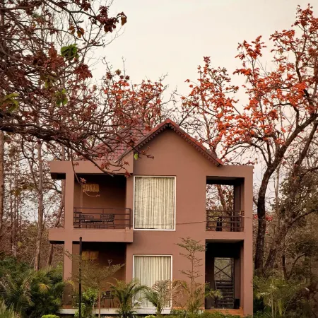 Kayo Resort