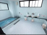 Business Hotel Irieso