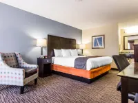Quality Inn Mt. Pleasant – Charleston Hotels near Wragg Square