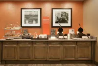 Hampton Inn Snyder - petit déjeuner
