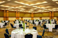 Sheraton Birmingham Hotel - Pet friendly
