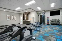 TownePlace Suites Potomac Mills Woodbridge - Gym