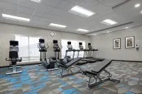 TownePlace Suites Potomac Mills Woodbridge - Gym